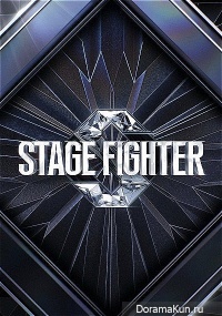 Stage Fighter