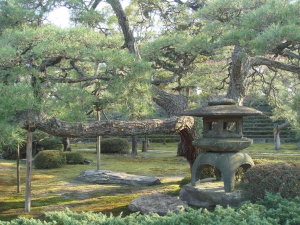 Япония. Сады замка Нидзё.