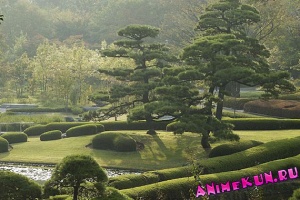 Япония. Восточные сады Императорского Дворца.