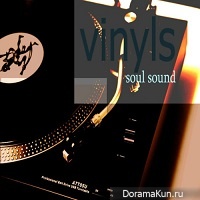 Vinyls - Soul Sound