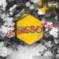 Risso – A Little Bit More