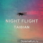 TAIBIAN – Night Flight