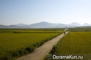 Countryside-North-Korea