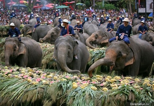 Национальный день слона (Таиланд)