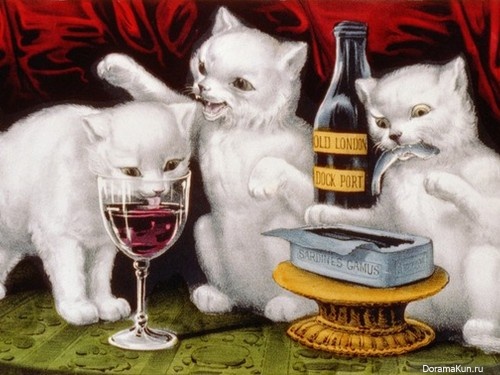В Японии придумали вино для кошек