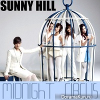 Sunny Hill - Midnight Circus