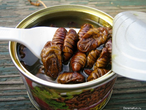 Silkworm pupae