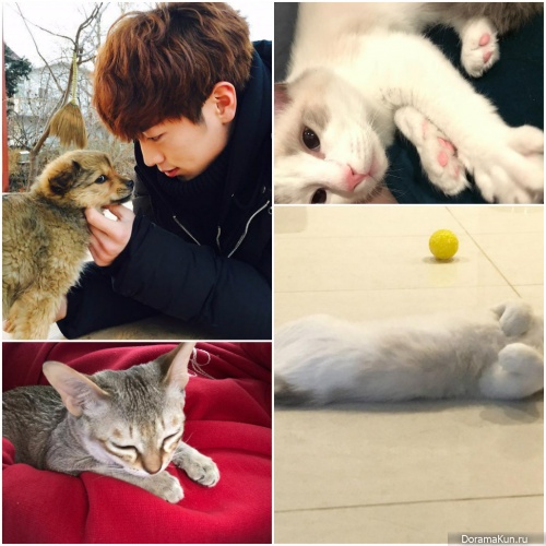 Seo Kang Joon and cat