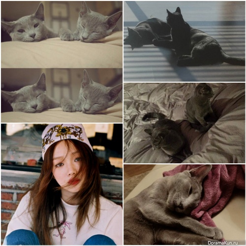 Lee Sung Kyung and cat