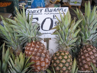 pineapple Festival