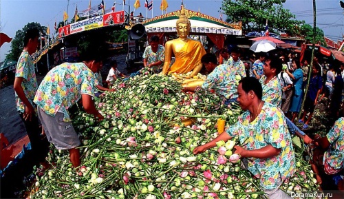 Festival offerings lotus