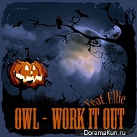 Owl - Work It Out