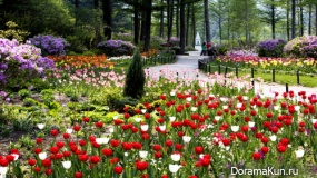 The festival of spring flowers