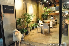 Seoul cafe with sheep