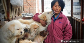 the facts about China and dogs