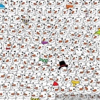 find the Panda