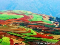 Yunnan province