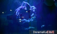 Aquarium ballet