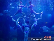 Aquarium ballet