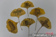 the drawings on the leaves of the tree Ginkgo