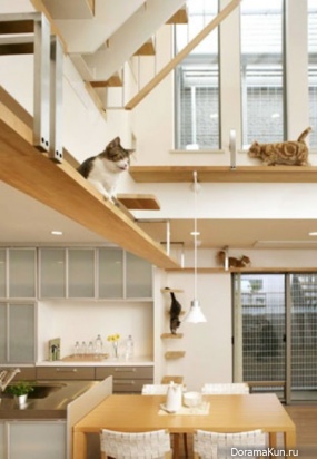 Cat House by Asahi Kasei