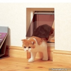 Cat House by Asahi Kasei