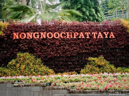 Thailand . Nong Nooch