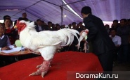 Dong Tao chicken