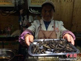 fried insects