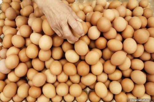 33 thousands of chicken eggs