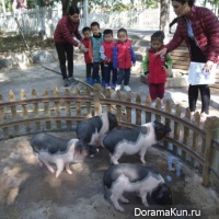 kindergarten - zoo