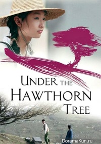 Under The Hawthorn Tree