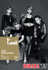 2NE1 для First Look New Evolution
