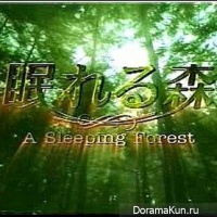 A Sleeping Forest