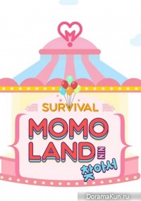 Finding MOMO LAND