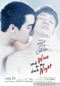 Memorable night - Red Wine in the Dark Night