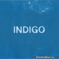 RM (BTS) - Indigo