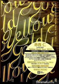 Jin Akanishi - Yellow Gold Tour 3011