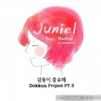Juniel – Dokkun Project Part 3